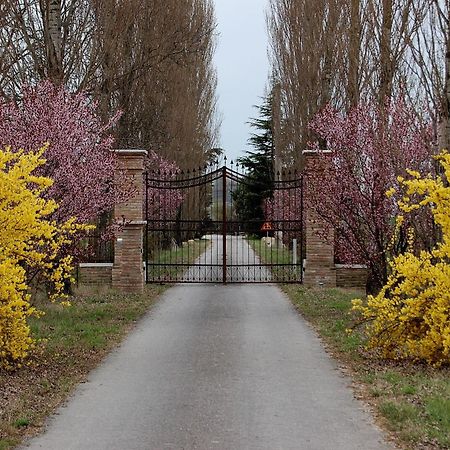 Agriturismo Corte Rocca Сан-Джорджо-ди-Мантова Экстерьер фото