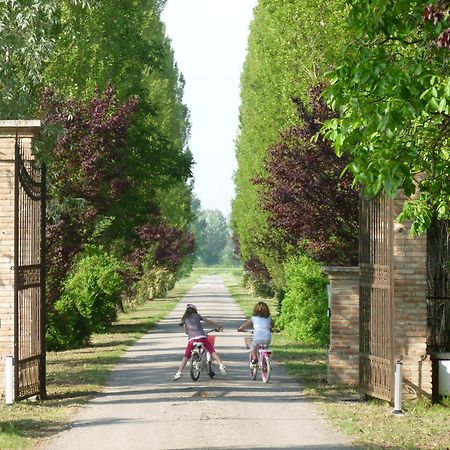 Agriturismo Corte Rocca Сан-Джорджо-ди-Мантова Экстерьер фото
