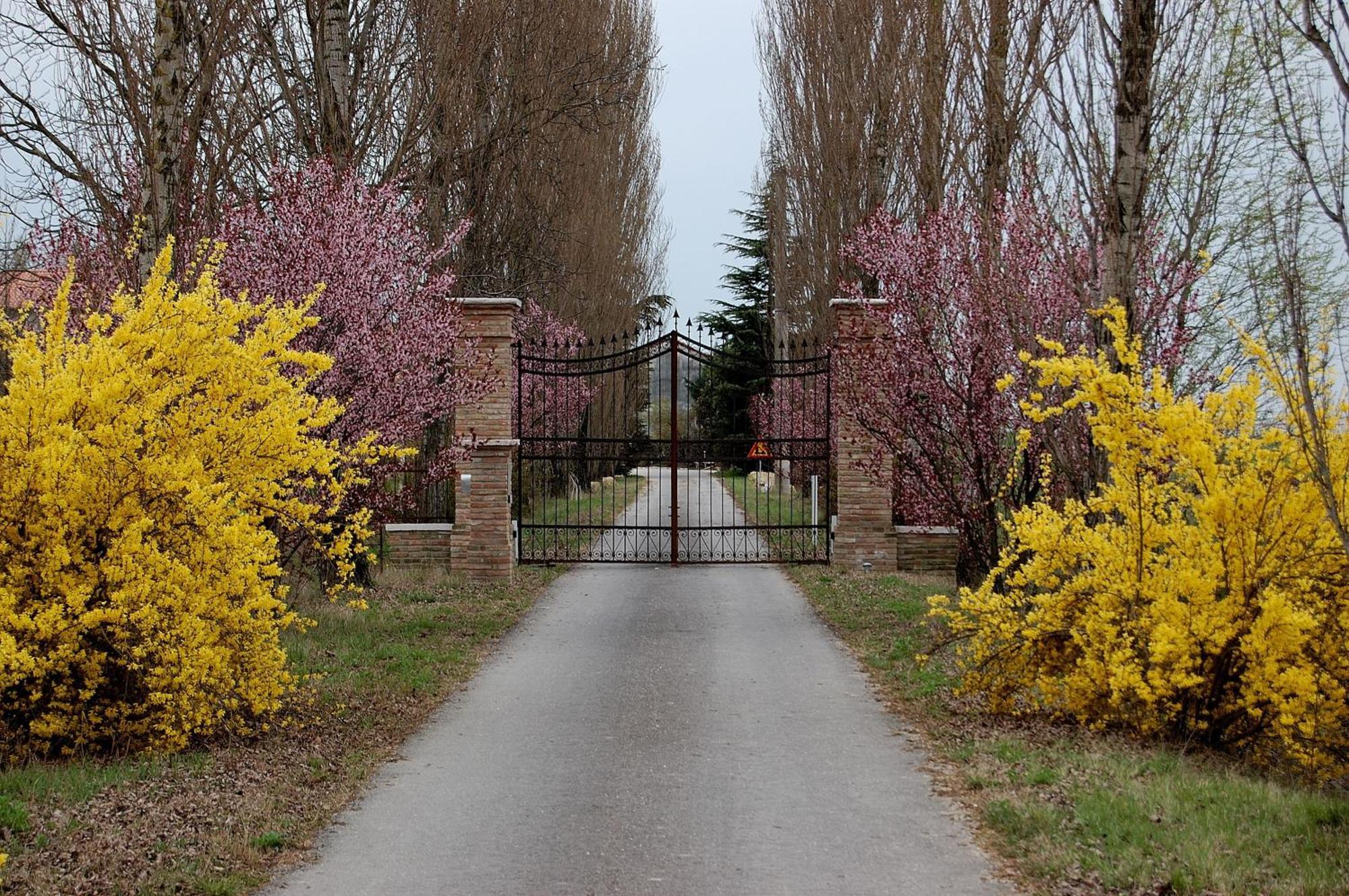 Agriturismo Corte Rocca Сан-Джорджо-ди-Мантова Экстерьер фото