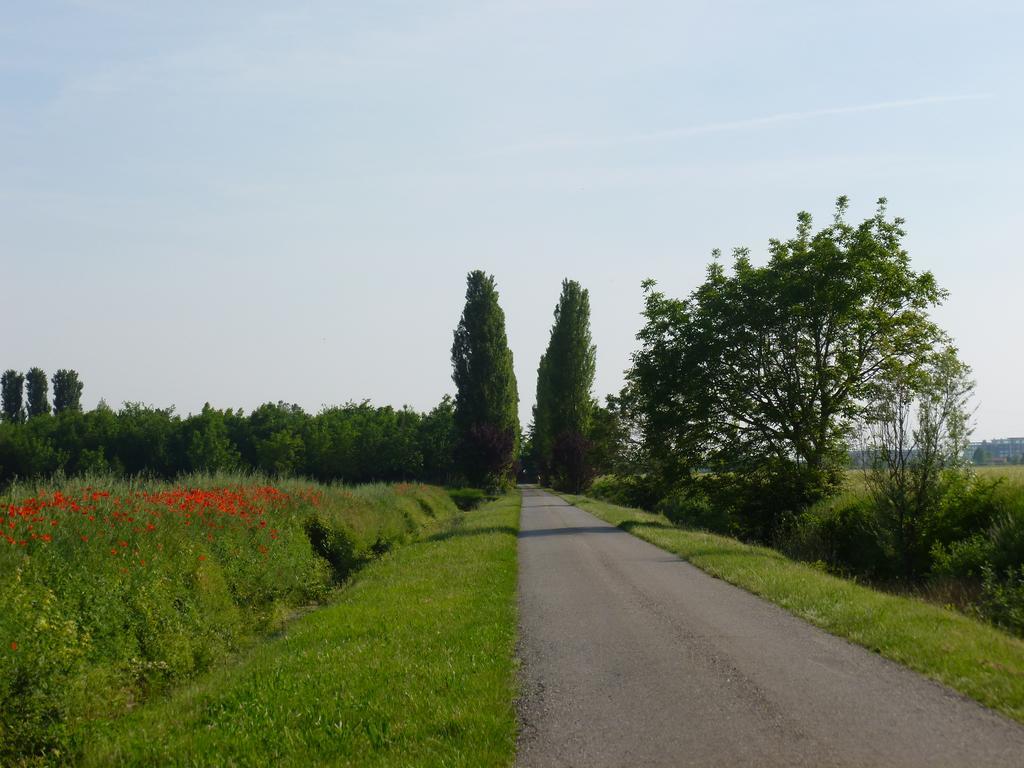 Agriturismo Corte Rocca Сан-Джорджо-ди-Мантова Экстерьер фото
